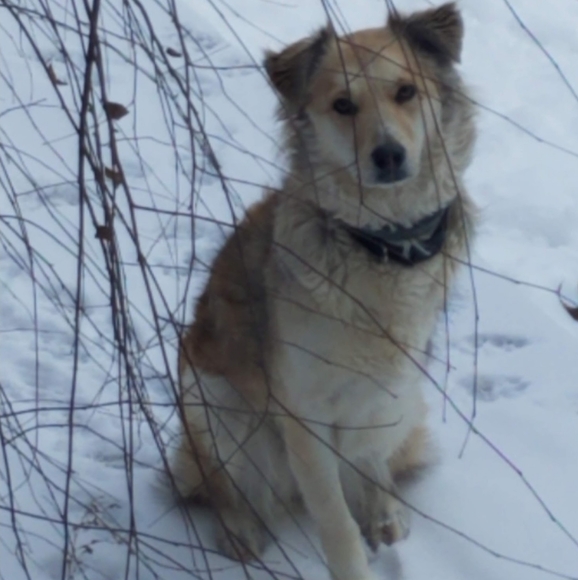 Meet your Posher, Vickie - Picture 4 of 4